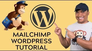 The Complete WordPress MailChimp Tutorial 2019  Grow your WordPress Mailing List with MailChimp [upl. by Lorolla41]