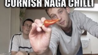 EXTREME PEPPER REVIEW The Cornish Naga  1178988 SHU [upl. by Lougheed]