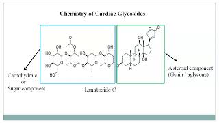 Chemistry of Cardiac Glycosides [upl. by Atiuqihs]