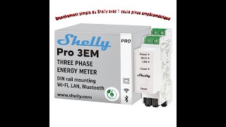 Shelly Pro 3EM branchement [upl. by Rimaj]