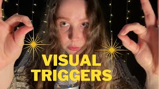 Uncommon VISUAL Triggers Light Scanning Mic Energy Cleaning Etc ASMR [upl. by Hgielyk741]