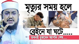 ব্রেইন যে সিগন্যাল দিলে বুঝবেন আপনার সময় শেষ । Sadikur Rahman Azhari [upl. by Nivrae]