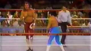 honky tonk man vs jake roberts wwf 87 [upl. by Nothsa]