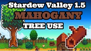 Stardew Valley Mahogany Tree  Stardew Valley 15  2021 [upl. by Eelinej]