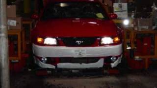 20032004 Ford Mustang SVT Cobra Compilation [upl. by Airdnaxela]