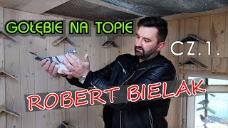 GOŁEBIE NA TOPIE  ROBERT BIELAK CZ 1 [upl. by Lrac113]