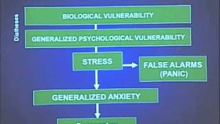 Anxiety and Mood Disorders in DSM5 [upl. by Hyozo]