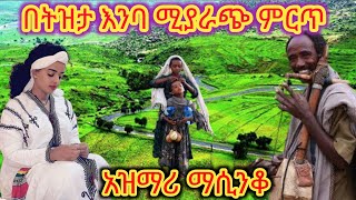 Ethiopia ምርጥ የትዝታ አዝማሪ ማሲንቆ  Best Ethiopian Traditional Azmari Masinko 663 [upl. by Oicnoel174]