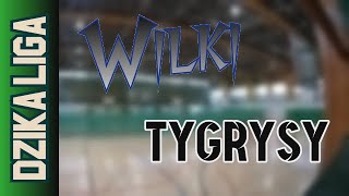 27 10 Wilki vs Tygrysy – Dzika Liga Gold Jesień 2024 [upl. by Atteynot661]