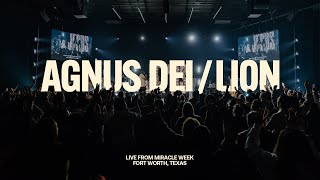 Agnus Dei  Lion  House Worship Live  Miracle Week 2024 at The House Fort Worth [upl. by Nehr550]