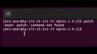 How to fix command patch not found in EC2 AMI AWS [upl. by Irap]