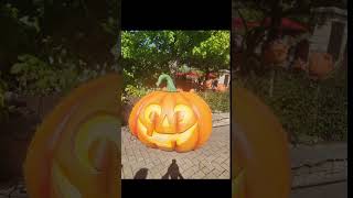 Zoo Halloween Decorations ZooTherealtsmrapper DanceLilBaby [upl. by Luckin610]