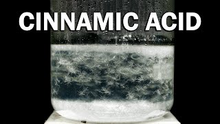 Making Cinnamic Acid [upl. by Whale]