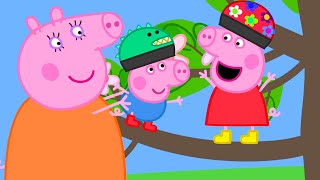 Peppa si arrampica su un albero  Peppa Pig Italiano Episodi completi [upl. by Jacobo451]