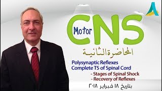 DrNagi  Live Physiology  Lecture 73  CNS Motor 2  Reflexes amp TS of Spcd [upl. by Ycnalc]