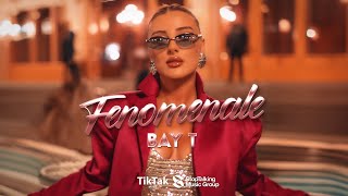 Bay T  Fenomenale prod by Buci Official Music Video [upl. by Brunelle]