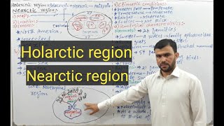 Holarctic  Nearctic region  Zoogeographical realms  Sabar khan lectures [upl. by Flavio]