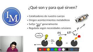 Bioquímica  Enzimas  Catalizadores Enzimáticos [upl. by Sitnalta]