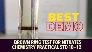 BEST DEMO  NITRATE IONS NO3 DETECTION  BROWN RING TEST  H2SO4  CHEMISTRY STD 1012 [upl. by Barb878]