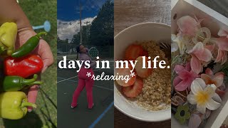 days in my life as a work from home girl in her 20s [upl. by Down]