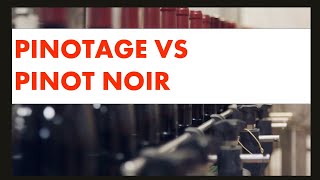 Pinotage vs Pinot Noir Whats the Difference [upl. by Iphigenia561]