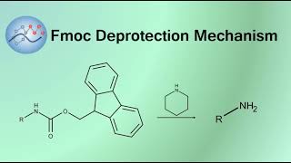 Deprotecting Fmoc Group Mechanism  Organic Chemistry [upl. by Olegna]