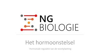 Het hormoonstelsel  hormonale regulatie van de voortplanting  HAVOVWO [upl. by Aicrag]