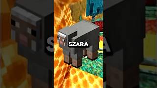 Szansa na owce w Minecraft😉 minecraft shorts [upl. by Yecram]