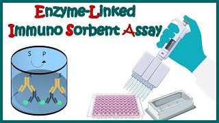 ELISA  Enzyme linked immonosorbent assay  ELISA test  Types of ELISA  Direct and Indirect ELISA [upl. by Banyaz]