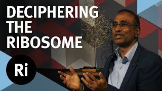 The Story of Deciphering the Ribosome  with Venki Ramakrishnan [upl. by Charleton]