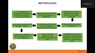 CERIO Y HONGOS MICORRÍZICOS ARBUSCULARES EN INDICADORES DE EFICIENCIA DEL FOTOSISTEMA II [upl. by Elvyn]