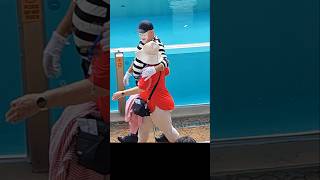 O mímico Tom nem se importou com o marido dela 😲😮😂🤣tomthemime seaworldmime seaworldorlando funny [upl. by Almeeta327]