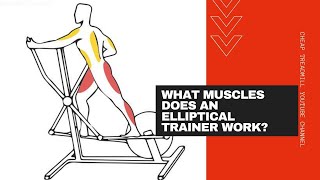 The Benefits of Elliptical Trainers What Muscles Does an Elliptical Trainer Work [upl. by Neale]