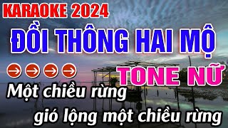 Đồi Thông Hai Mộ Karaoke Tone Nữ  Am  Karaoke Đăng Khôi  Beat Mới [upl. by Sherborne]