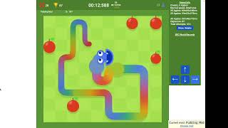 Google Snake Game Speedrun Old PB Small Normal Speed All Apples in 38205 [upl. by Mientao153]