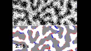 Spontaneous fluctuations in a ferromagnetic film [upl. by Anitsirhk200]