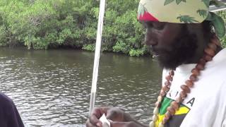 SNOOK FISHING IN NEGRIL JAMAICA [upl. by Alejandra386]