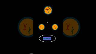 Part 1 Inside Cancer Cell Growth Checkpoints and Telomeres [upl. by Lili]