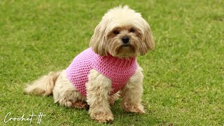 How to Crochet a dog sweater  Small  Full tutorial  Sweater and Hat matching set [upl. by Brause]