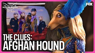 The Clues Afghan Hound  Season 11  The Masked Singer [upl. by Danyelle]