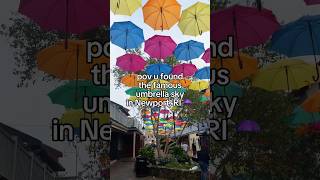 the famous umbrella sky is back in Newport RI ☂️ rhodeisland newport umbrellasky fyp [upl. by Selie]