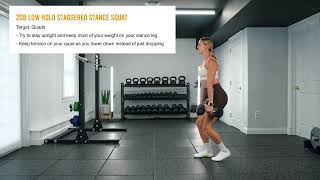 2DB Low Hold Staggered Stance Squat [upl. by Ynavoeg]