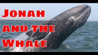 Science Confirms Jonah and the Whale Story  Bible is Accurate [upl. by Elinnet182]