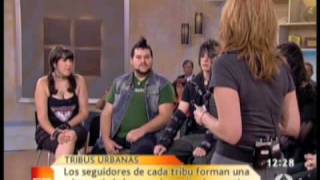 Debate sobre tribus urbanas en Espejo Público 13 [upl. by Lund]