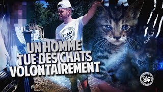 IL ÉCRASE VOLONTAIREMENT DES CHATS AVEC SA VOITURE   CAM OFF [upl. by Ettevets]