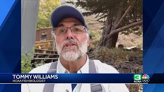 Salmon will soon swim freely in the Klamath River near CA border [upl. by Selwin]