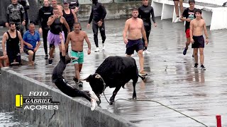 Tourada Porto de São Mateus 2082023 Ganadeiro F PAÇORES [upl. by Lakin]