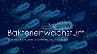 Bakterienwachstum  Die ideale bakterielle Vermehrung in 4 Phasen Biologie [upl. by Rihat409]