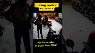 Maling motor ketauan shorts short viralvideo [upl. by Anerb667]