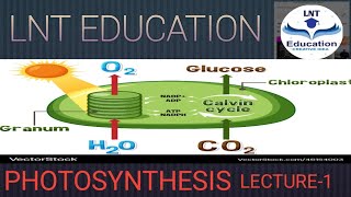 PHOTOSYNTHESISSCIENCE LECTURE1FOR HCS BOARD EXAM [upl. by Latrena480]